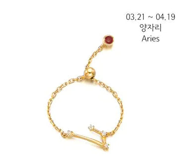 S925 Silver Zodiac Ring – Minimalist Style for Women