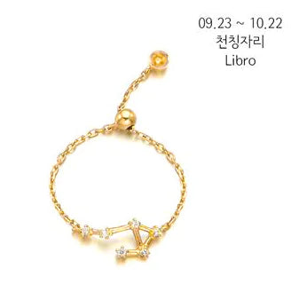 S925 Silver Zodiac Ring – Minimalist Style for Women