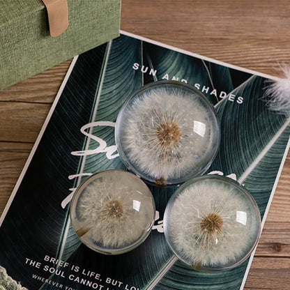 Dandelion Crystal Ball – Nature’s Hope for Soul Seekers