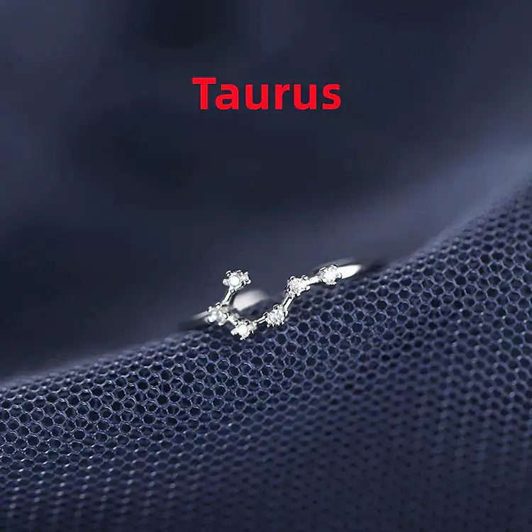 Zodiac Sign Ring – Silver Horoscope Jewelry Gift 💍