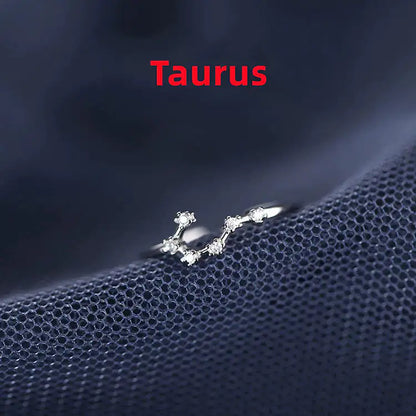 Zodiac Sign Ring – Silver Horoscope Jewelry Gift 💍