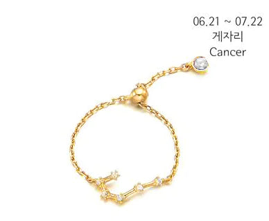 S925 Silver Zodiac Ring – Minimalist Style for Women