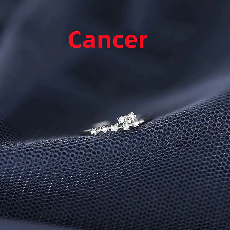 Zodiac Sign Ring – Silver Horoscope Jewelry Gift 💍