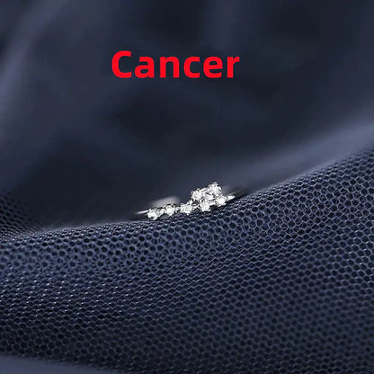 Zodiac Sign Ring – Silver Horoscope Jewelry Gift 💍