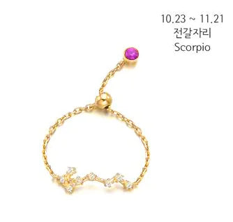 S925 Silver Zodiac Ring – Minimalist Style for Women