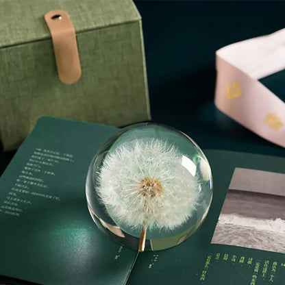 Dandelion Crystal Ball – Nature’s Hope for Soul Seekers