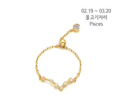 S925 Silver Zodiac Ring – Minimalist Style for Women