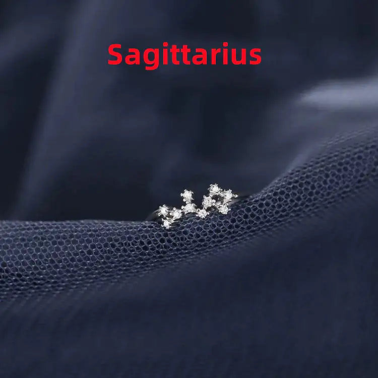 Zodiac Sign Ring – Silver Horoscope Jewelry Gift 💍