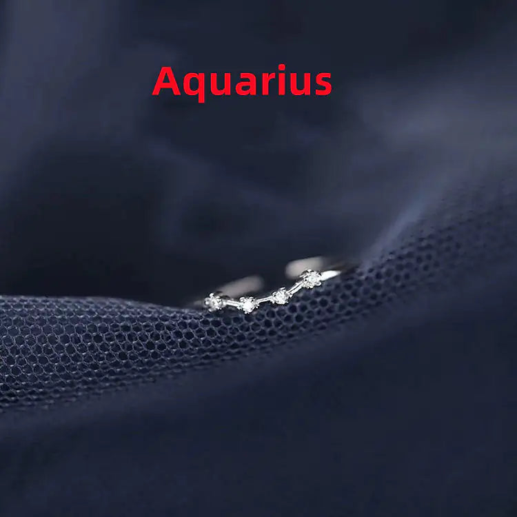 Zodiac Sign Ring – Silver Horoscope Jewelry Gift 💍