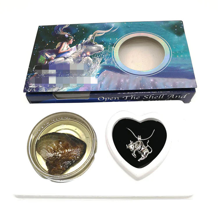 Zodiac Pearl Necklace DIY Kit – Clam & Constellation Gift 💫