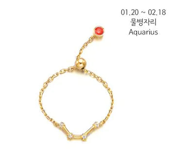 S925 Silver Zodiac Ring – Minimalist Style for Women