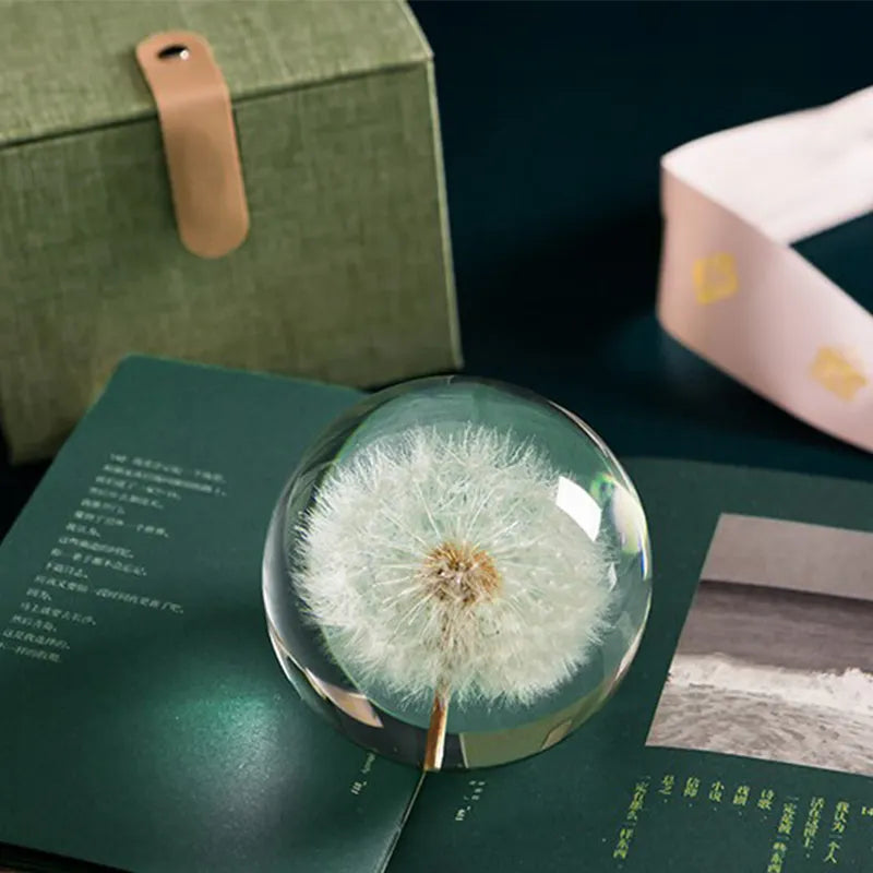 Dandelion Crystal Ball – Nature’s Hope for Soul Seekers