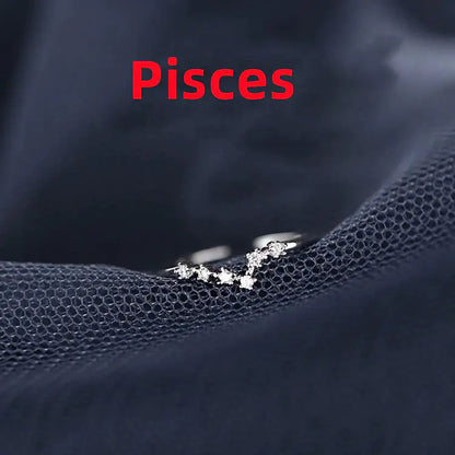 Zodiac Sign Ring – Silver Horoscope Jewelry Gift 💍