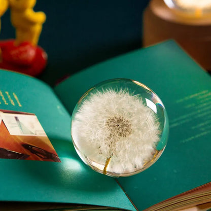 Dandelion Crystal Ball – Nature’s Hope for Soul Seekers