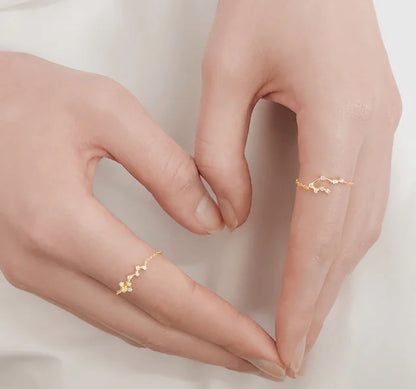 S925 Silver Zodiac Ring – Minimalist Style for Women