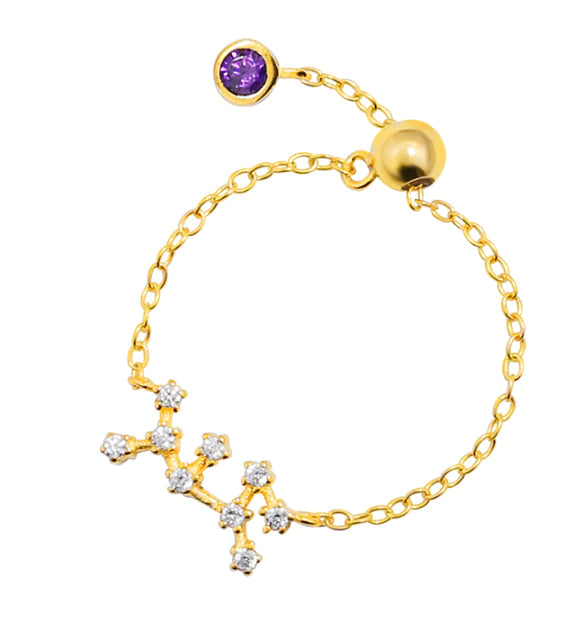 S925 Silver Zodiac Ring – Minimalist Style for Women