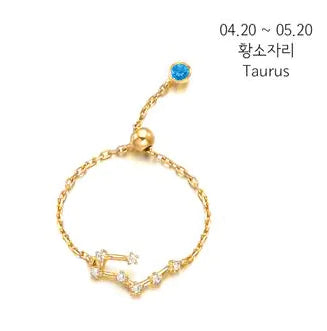 S925 Silver Zodiac Ring – Minimalist Style for Women