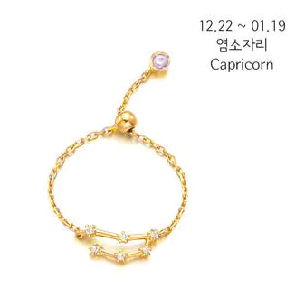 S925 Silver Zodiac Ring – Minimalist Style for Women